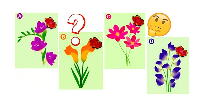 Тест: Выберите, на какой цветок сядет бабочка, а мы расскажем, кто в отношениях вам подходит