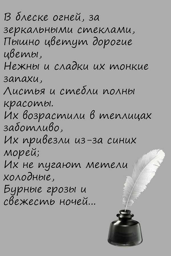 2. Чьему перу принадлежит стихотворение "Полевые цветы"?