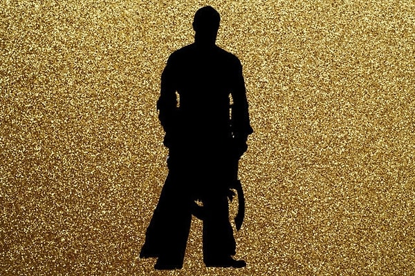 2. Что насчет этого силуэта?