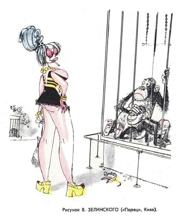 7. Кто на кого пришел смотреть