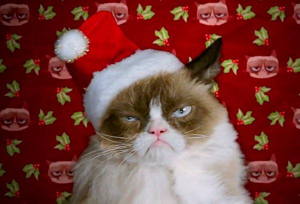 Dünyanın en çok tanınan kedilerinden biri olmadan önce, kendi filmi olan Grumpy Cat's Worst Christmas Ever(Huysuz Kedinin En Kötü Noeli)'ın baş rolündeydi.