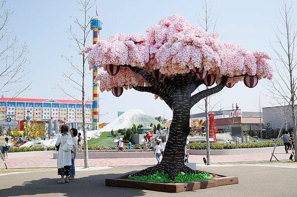 8. Legoland, 800.000'den fazla legodan yapılan Sakura ağacı ile dünya rekoru kırmıştır.