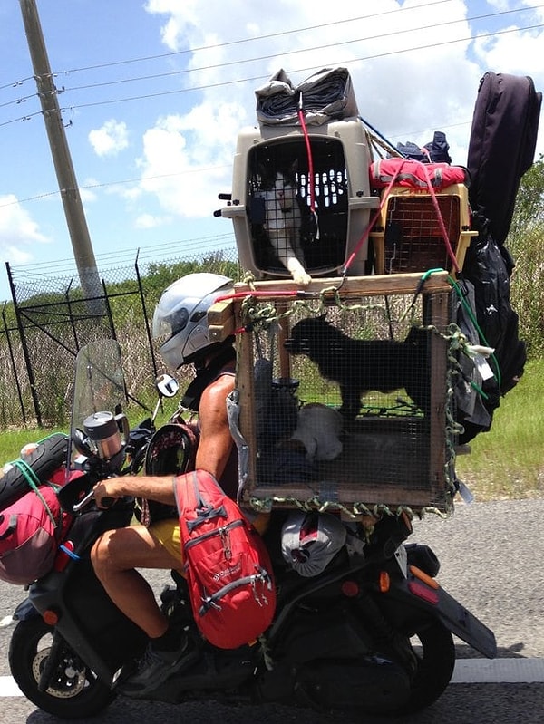 14. Переезд одинокого молодого человека