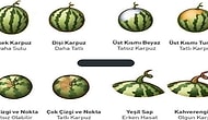 Yıllarca Açıklanamayıp Tartışmalara Neden Olan Soru: "İyi Karpuz Nasıl Seçilir?"