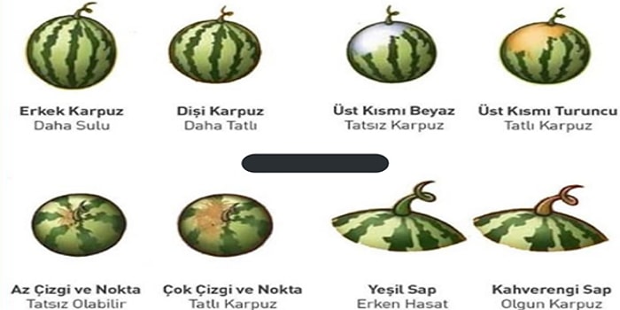 Yıllarca Açıklanamayıp Tartışmalara Neden Olan Soru: "İyi Karpuz Nasıl Seçilir?"