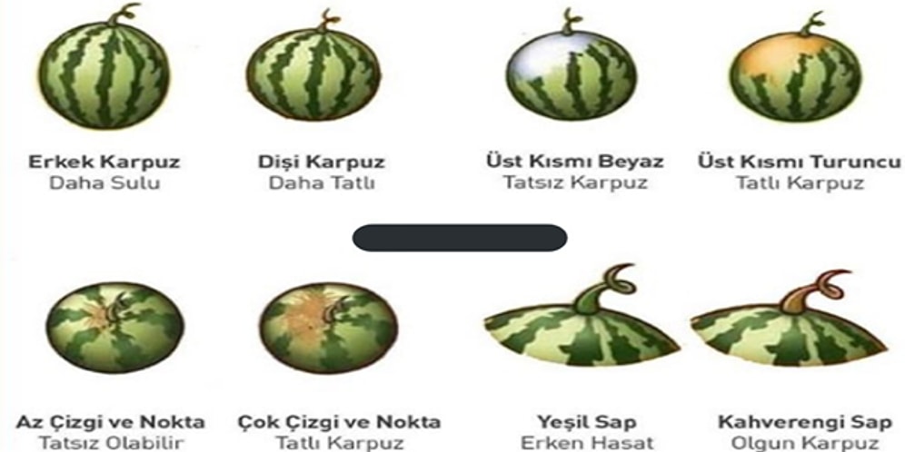 Yıllarca Açıklanamayıp Tartışmalara Neden Olan Soru: "İyi Karpuz Nasıl Seçilir?"