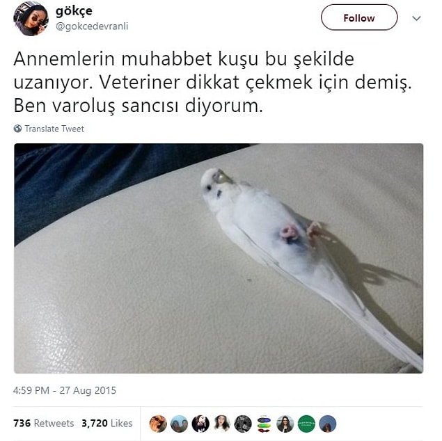 5. Varoluş sancıları.