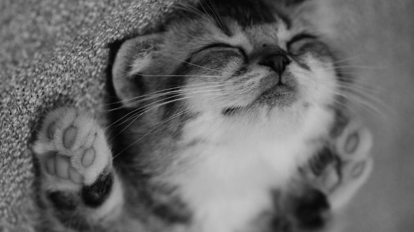 7. А как поступите, если ситуация наоборот, и начинает играть ваша любимая песня?