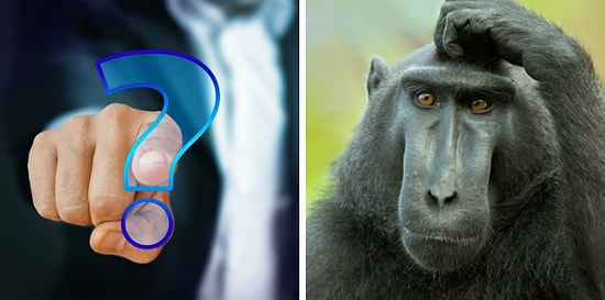 Тест обо всём, который пройдут только те, кто за всю жизнь прочёл хотя бы одну книгу