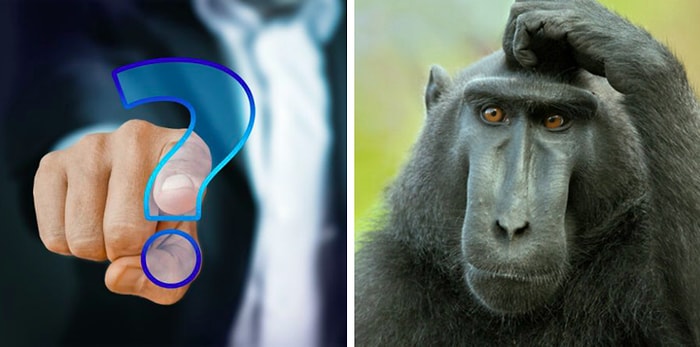 Тест обо всём, который пройдут только те, кто за всю жизнь прочёл хотя бы одну книгу