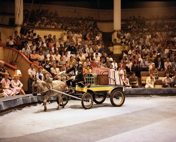 35. Последнее представление в старом здании цирка на Цветном бульваре. 13 августа 1985 г.
