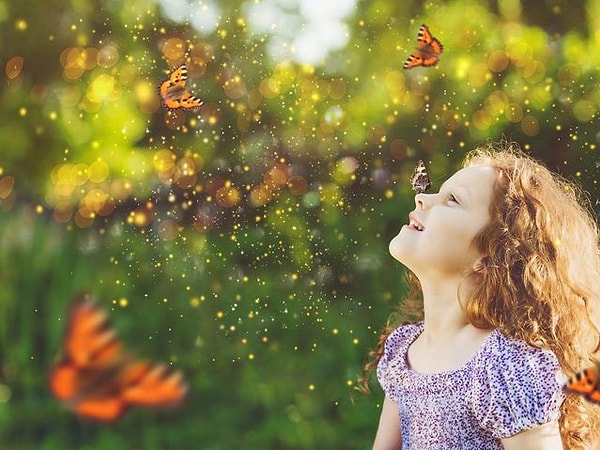 3. Выберите бабочку: