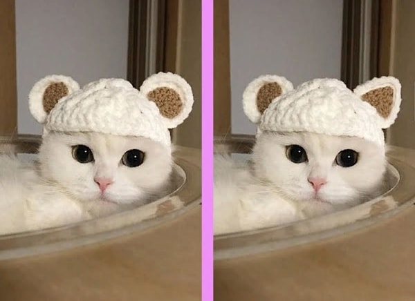 1. Нашли отличие?