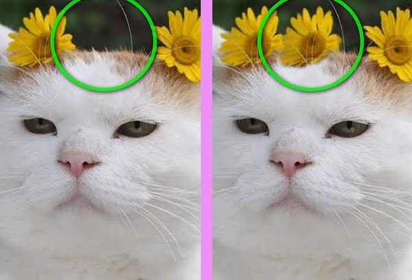 Посмотреть ответ: