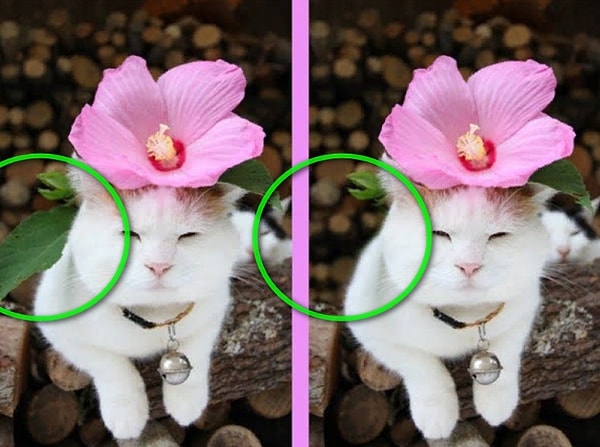 Посмотреть ответ: