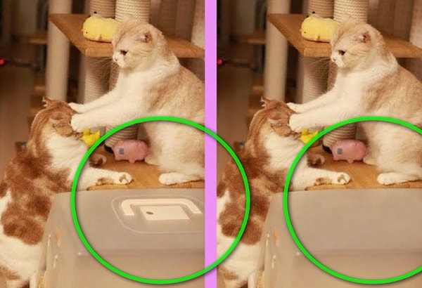 Посмотреть ответ: