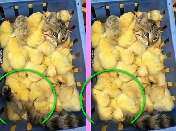 Посмотреть ответ: