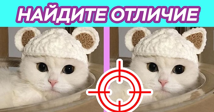 Тест: Вы внимательны, как снайпер, если сможете найти все 8 отличий за минуту