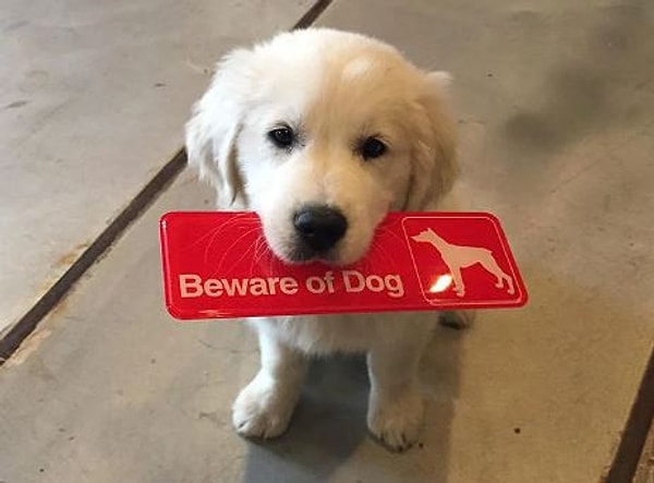 5. "Давай дружить" ;)