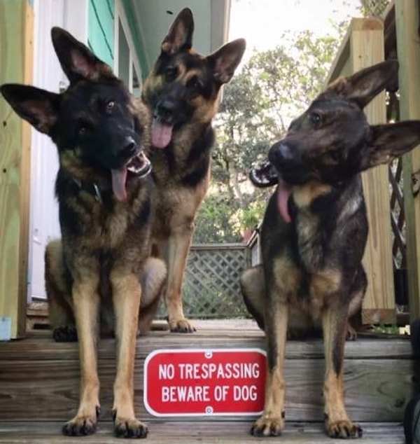 8. "Не поняяятно!"