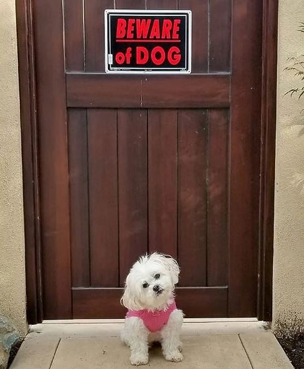 9. "Эй человек, тебе тапочки принести?"