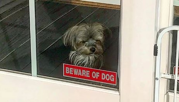 21. Берегитесь!