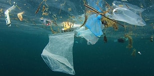 Çevre Kirliliğine Karşı Yeni Adım: AB Tek Kullanımlık Plastik Ürünleri Yasaklıyor