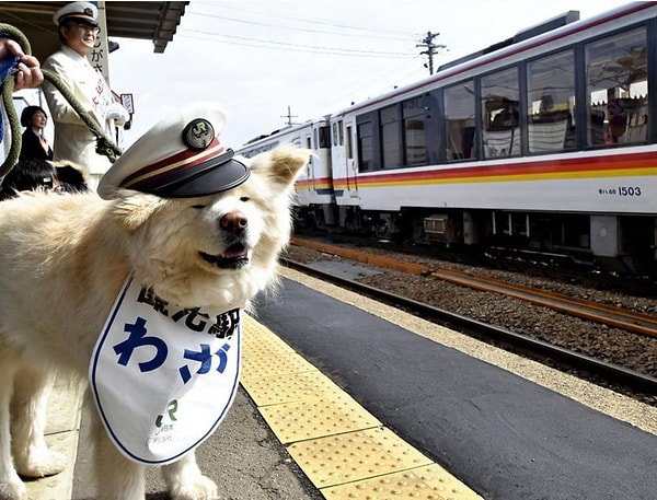 5. Начальник станции по кличке Васао