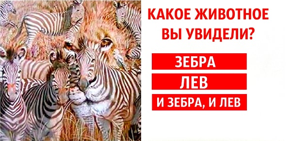 Что скажете?