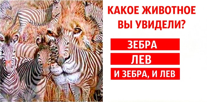 Тест: Выберите животное, которое вы увидели в первую очередь, а мы сделаем психологический разбор вашей личности