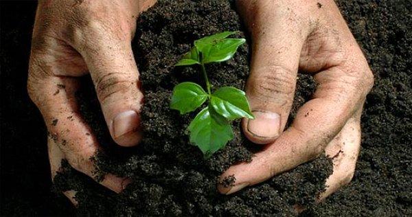 Gübreleme işlemi sonunda elde edilen toprak, hayatını kaybeden kişinin sevdiklerine teslim ediliyor ve bu toprakta bitki yetiştirilebiliyor.