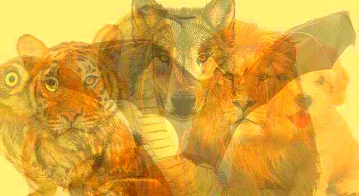 Тест: Какое животное вы увидите тут первым, такой у вас и характер