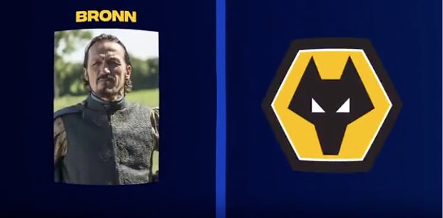2. Bronn - Wolverhampton Wanderers