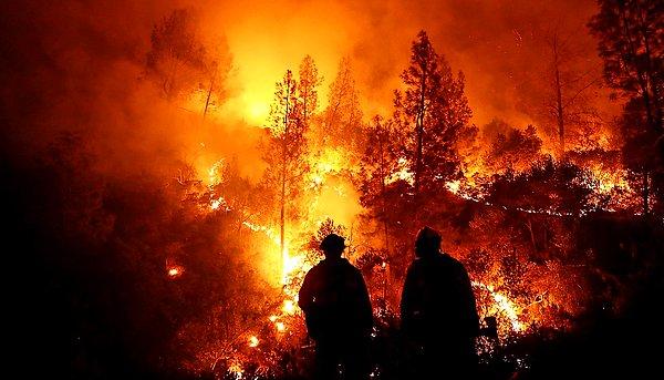 3. 2017'de kaç orman yangını çıktı?