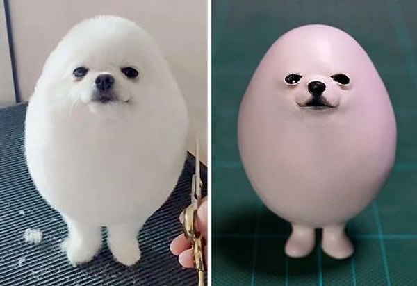 Проект оказался настолько популярным, что теперь существует целая коллекция веселых мемов животных, навсегда увековеченных в 3D-форме. И все благодаря творчеству и воображению Meetissai.