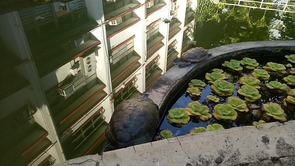 6. Кажется, что они сейчас рухнут с высокого балкона