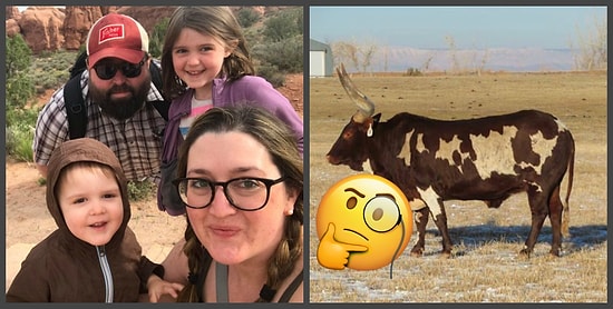 Фотографии из серии "показалось", которые сломают вам мозг