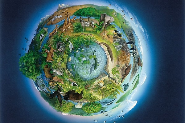 2. Что является высшим уровнем организации жизни?