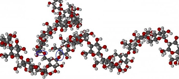 12. Какое из этих соединений не является биополимером?