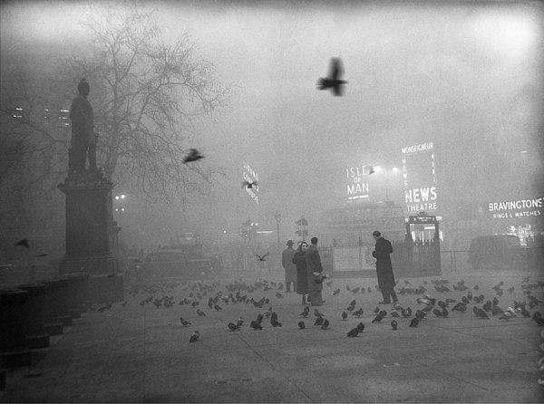 3. 1952 yılında gerçekleşen "Londra Sisi" o kadar yoğundu ki, yer bile görünmüyordu. Bu sis aynı zamanda kendisiyle birlikte taşıdığı kimyasallar nedeniyle 4 gün içinde 4000 kişinin ölümüne neden oldu.