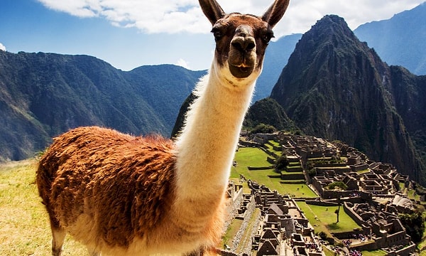 10. На территории какой страны находится древний город Мачу-Пикчу?