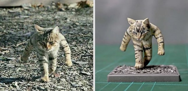 Все началось, когда Meetissai искал реальную версию любимого мема.