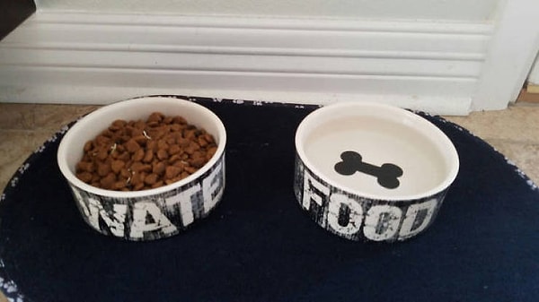 5. На каждой из мисок написано, для чего она предназначена. Но нет! Все надо сделать наоборот!