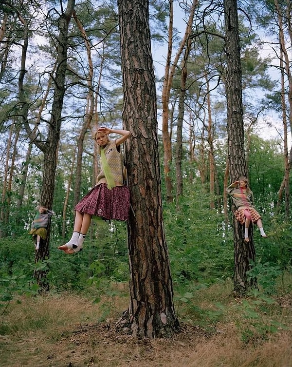 15. Высокая мода в лесу