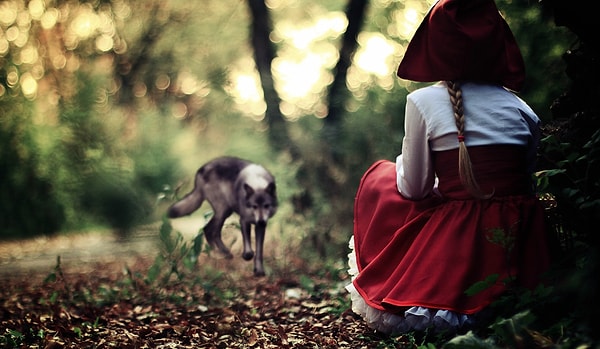 Волков бояться - в лес не ходить