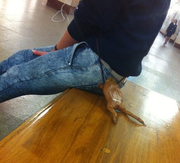 19. «Это не у вас крыша поехала, это мой кошелек»