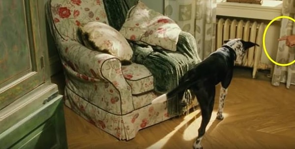 10. В «Брюсе Всемогущим» в кадр влезла рука, указывающая псу, что ему нужно делать.