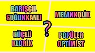 Kişilik Profili Testine Göre Hangi Karakter Grubunda Yer Alıyorsun?
