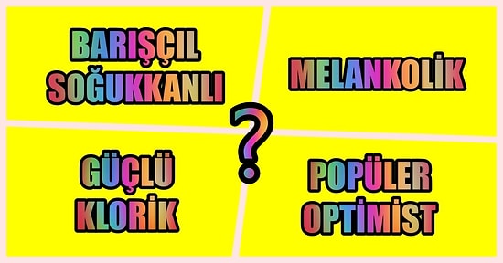 Kişilik Profili Testine Göre Hangi Karakter Grubunda Yer Alıyorsun?