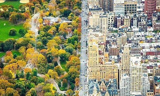 Увидев эти снимки, вы не поверите, что это части одного фото